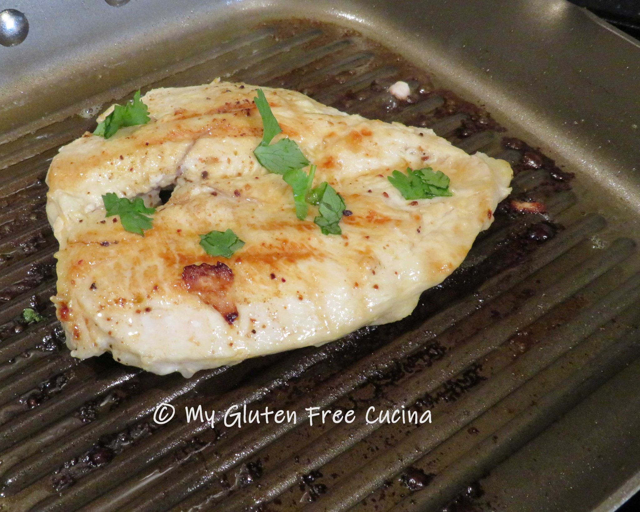 Favorite Mexican Grilled Chicken My Gluten Free Cucina